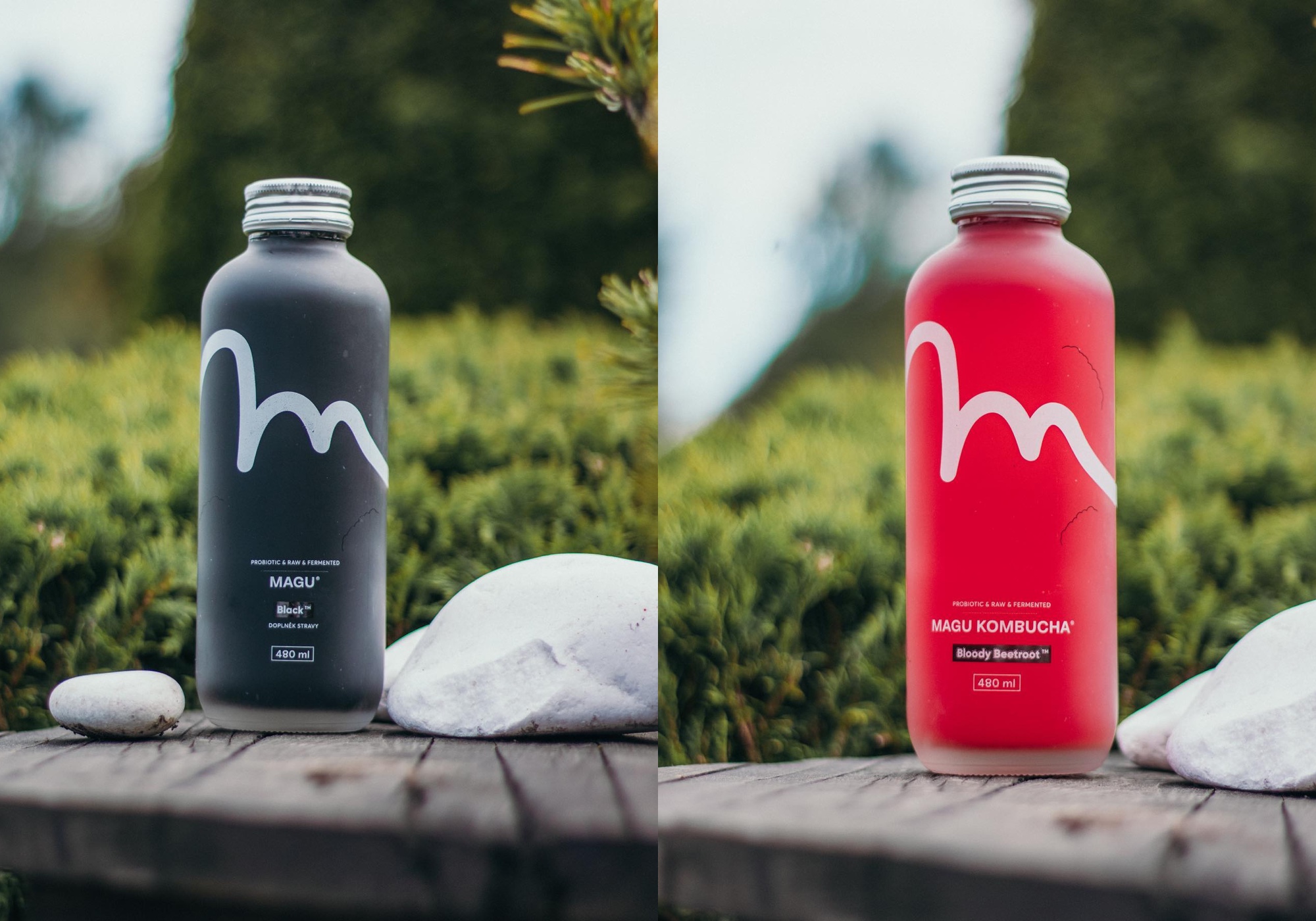 Magu Kombucha Branding Brand Identity